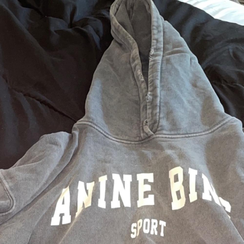Anine Bing Gray Hoodie